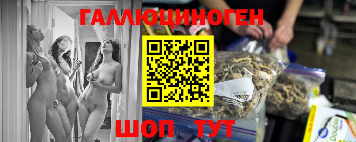 Выкса  продажа наркотиков  Вход с VPN  Псилоцибиновые грибы Cubensis 