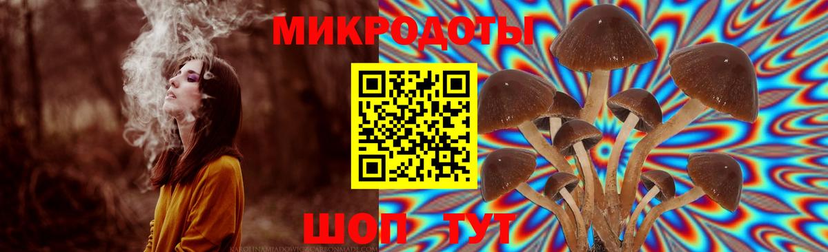 Галлюциногенные грибы мицелий Выкса